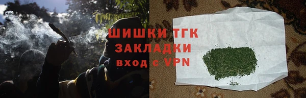 крисы Осинники