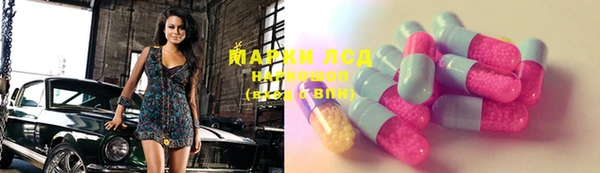 крисы Осинники