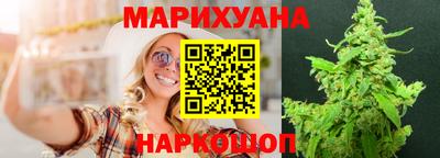 стаф Дубна