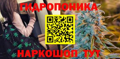 стаф Дубна
