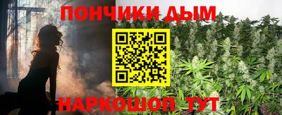 стаф Дубна