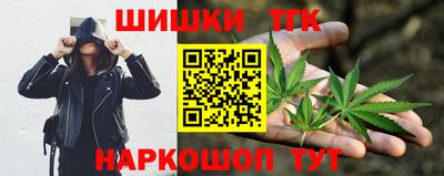 стаф Дубна