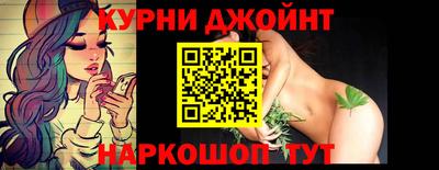 стаф Дубна