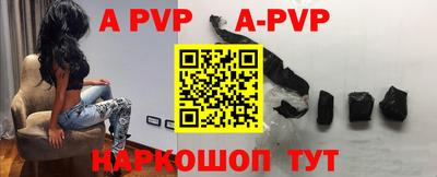 стаф Дубна