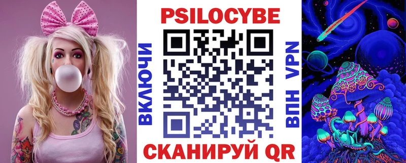 купить   Реутов  Псилоцибиновые грибы Cubensis 